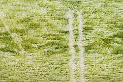 Alfombra Kilim Marroquí Bereber Azilal 250 x 160 cm