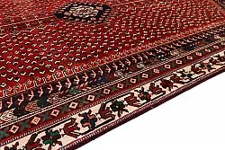 Alfombra Oriental Hamedan 290 x 195 cm