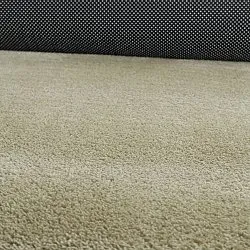 Alfombra Shaggy Ondulada Asimétrica - Aranga Super Soft Fur (verde claro)