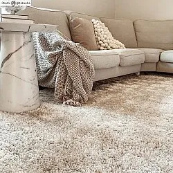 Alfombras de pelo largo - Cosy (beige)