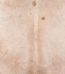 Piel de vaca – Beige 94