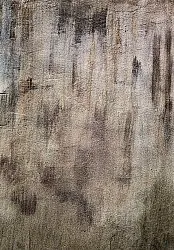 Alfombra Wilton - Polia (gris/marrón)