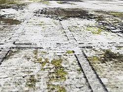 Alfombra Wilton - Flores (negro/marrón/blanco)