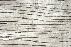 Alfombra Wilton - Uzla (gris)