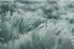 Alfombras de pelo largo - Janjira (azul-verde)