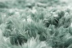 Alfombras redondeadas - Janjira (azul-verde)