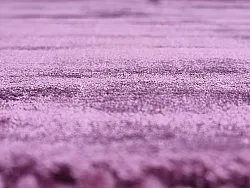 Alfombra de Viscosa - Jodhpur Special Luxury Edition (morado)