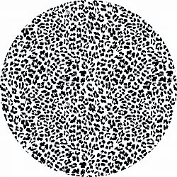 Alfombras redondeadas - Leopard (negro/blanco)