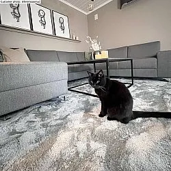 Alfombras de pelo largo - Aranga Super Soft Fur (gris)