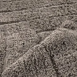 Alfombras de pelo largo - Farley Natural Cotton Shaggy (gris pardo)
