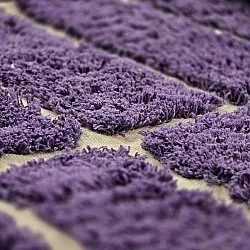 Alfombras redondeadas - Ikara Natural Cotton Shaggy (púrpura)