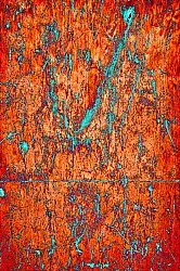 Alfombra Wilton - Alvito (multi)