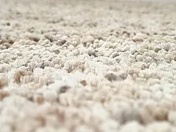 Alfombras de pelo largo - Carl (beige)