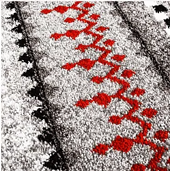 Alfombra Wilton - Elduvik (rojo)
