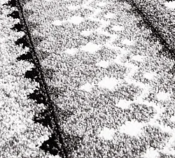 Alfombra Wilton - Elduvik (gris)