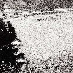 Alfombra Wilton - Nesvik (gris)