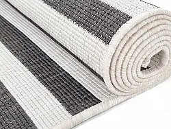 Alfombras de Interior/Exterior - Roscoe (negro)