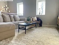 Alfombras de pelo largo - Cosy (beige)