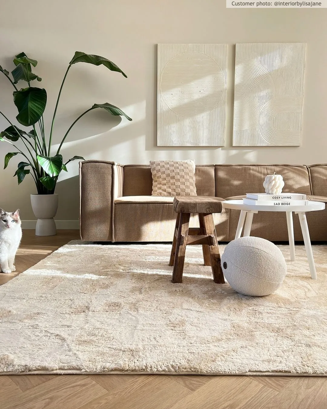 Alfombras de pelo largo - Aranga Super Soft Fur (beige)