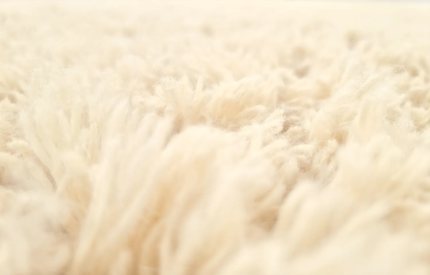 Alfombra de Lana - Aliste Wool Shaggy (alabaster gleam)