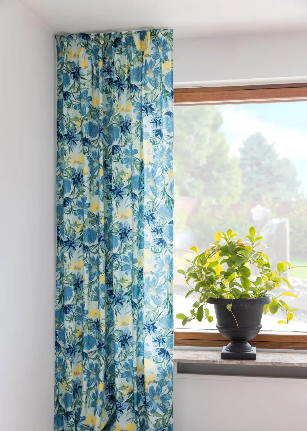 Cortinas - Cortina de algodón Cutie (azul)