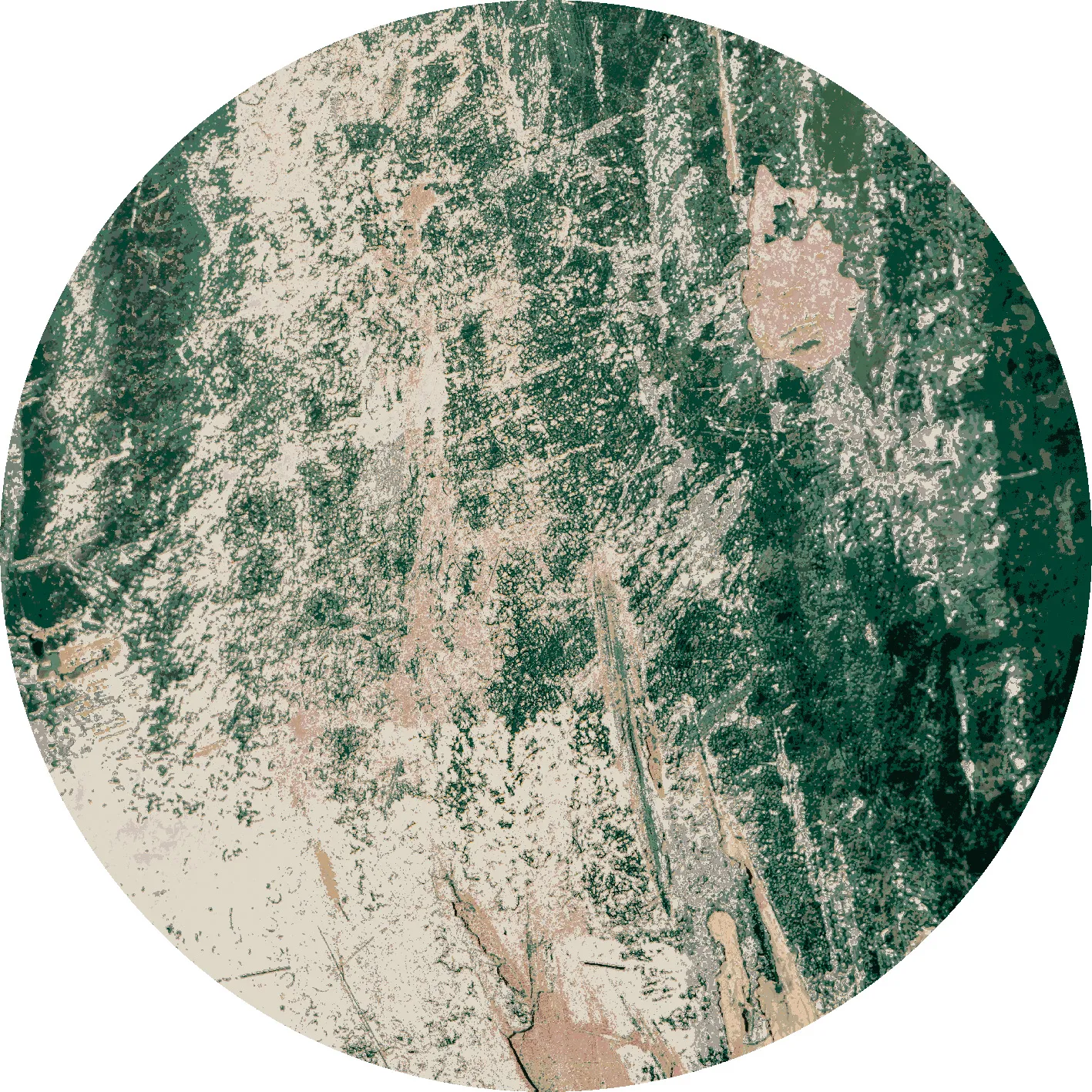 Alfombras redondeadas - Tamalous (beige/verde)