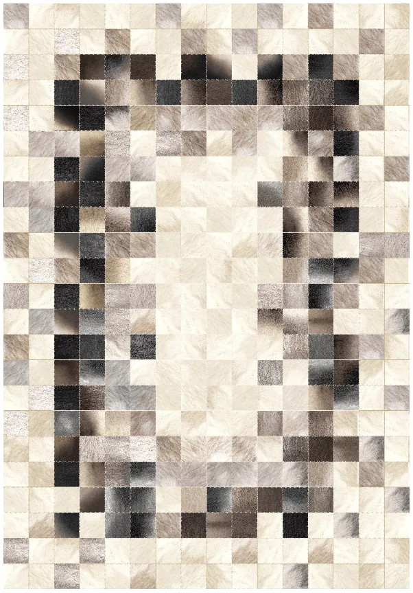 Alfombra Wilton - Livada (blanco/multicolor)