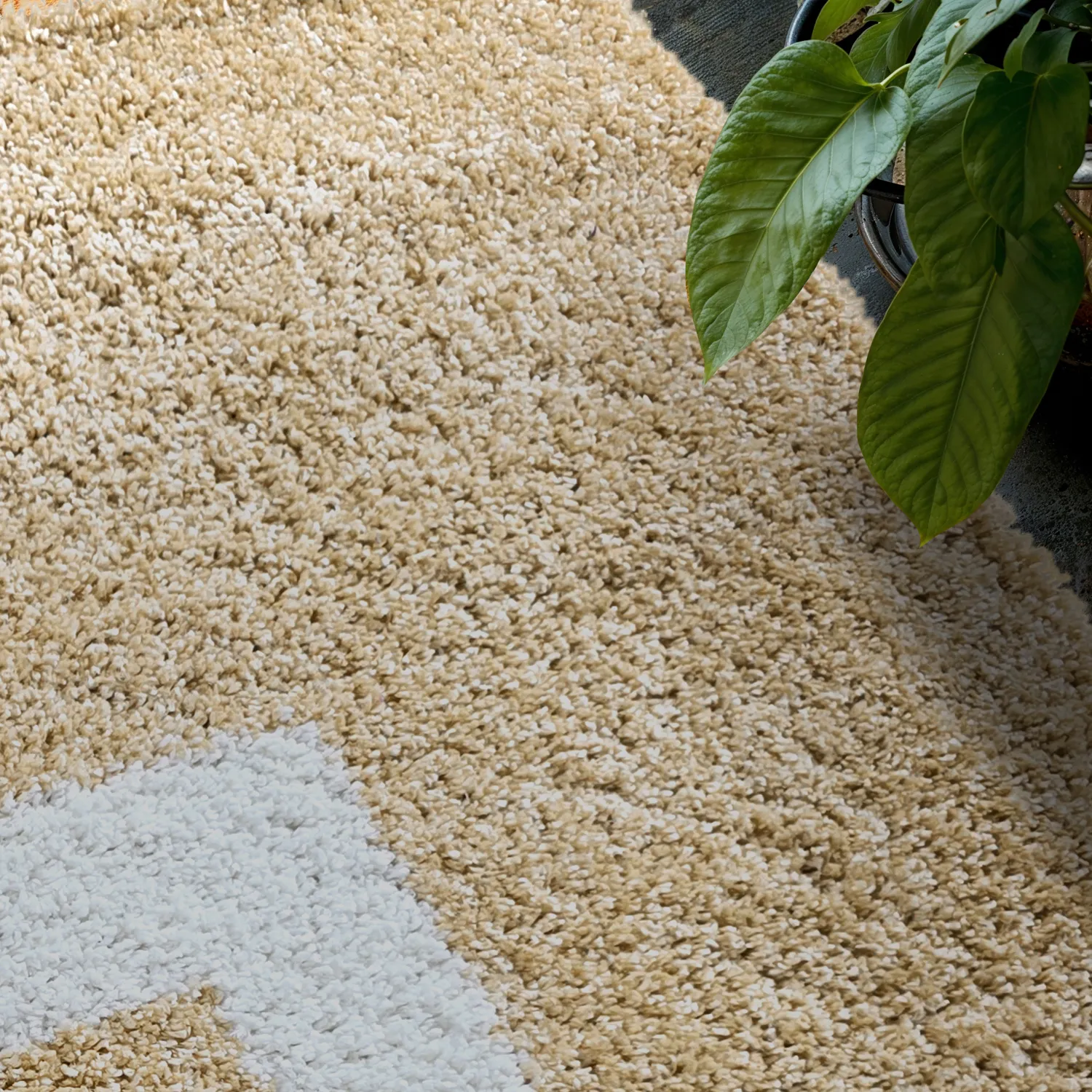 Alfombras de pelo largo - Alsace (beige/blanco/marrón)