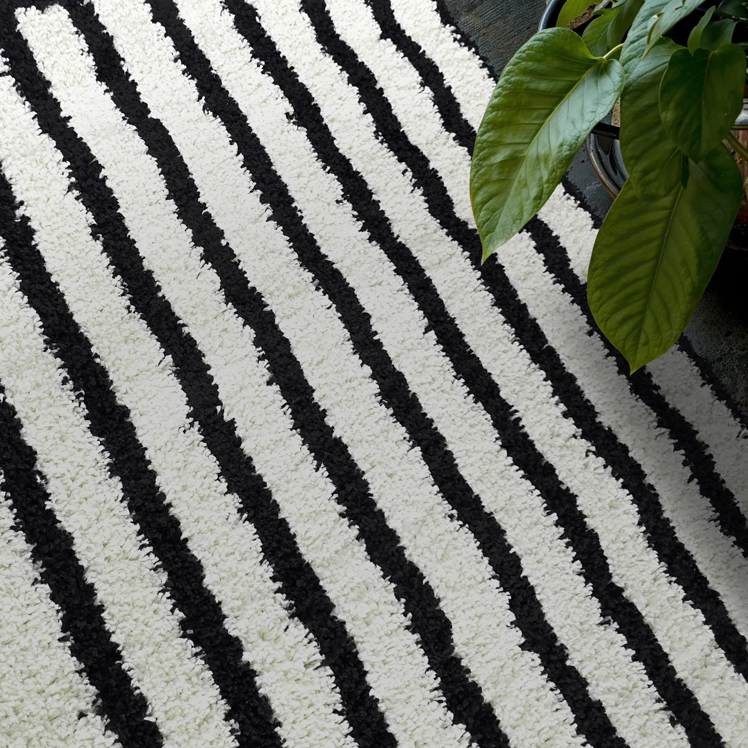 Alfombras de pelo largo - Cluny (blanco/negro)