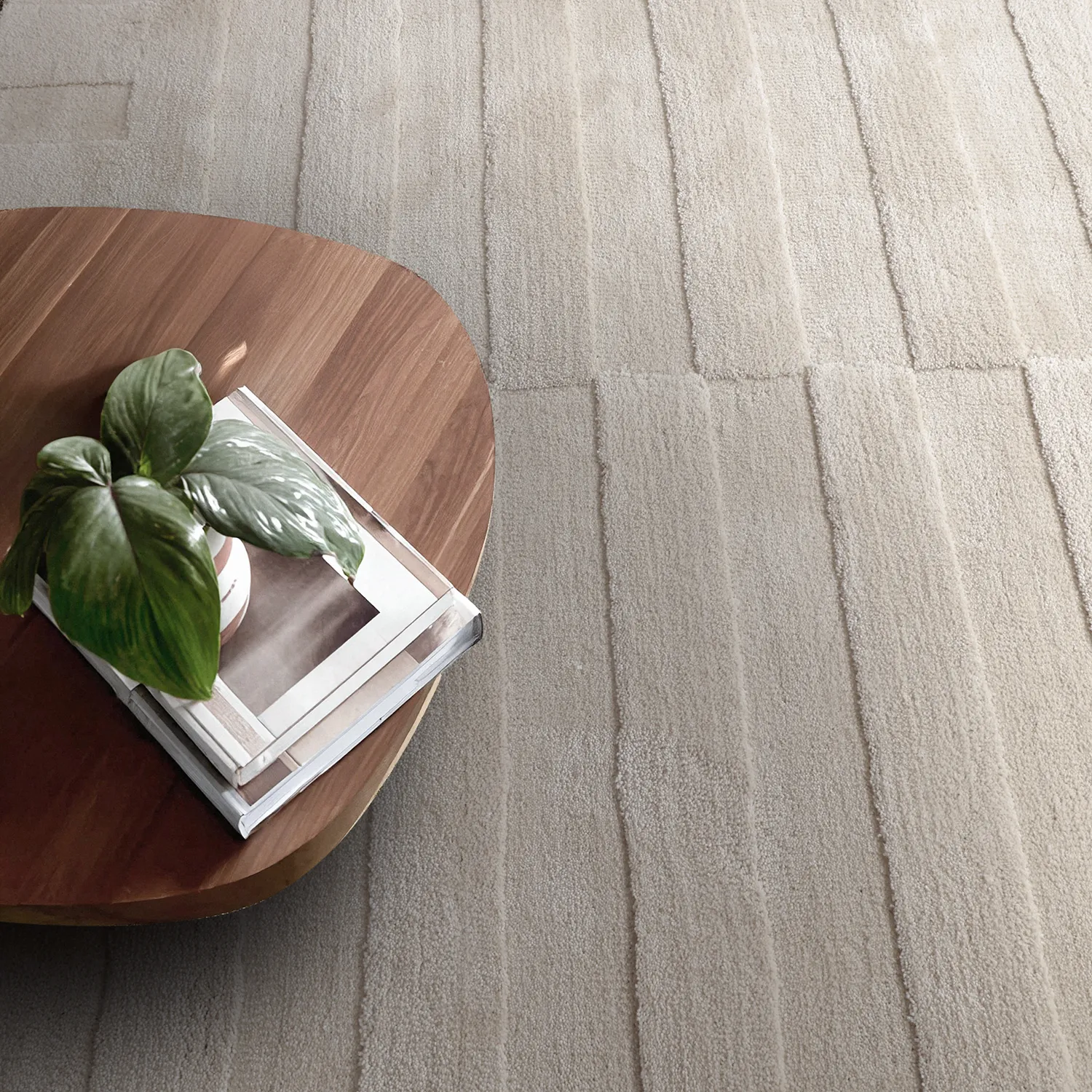 Alfombras de pelo largo - Paxos (beige)