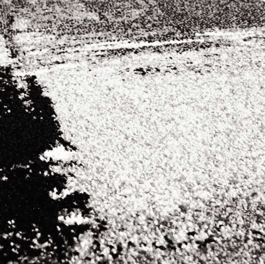 Alfombra Wilton - Nesvik (gris)