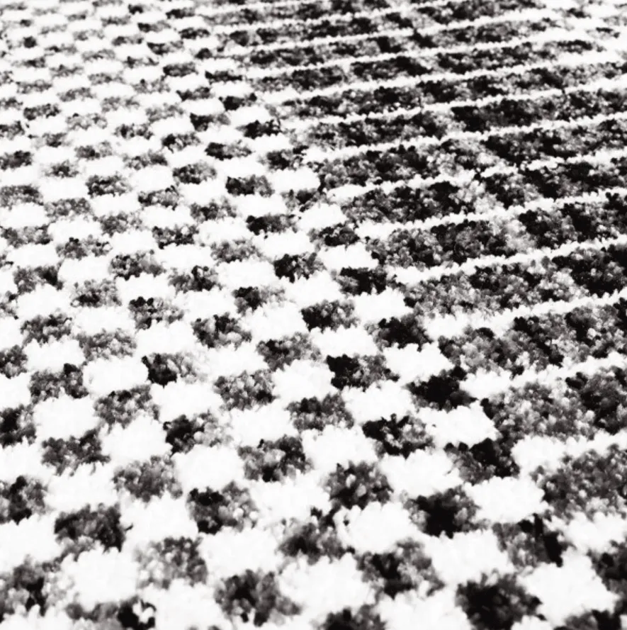 Alfombra Wilton - Renous (gris)