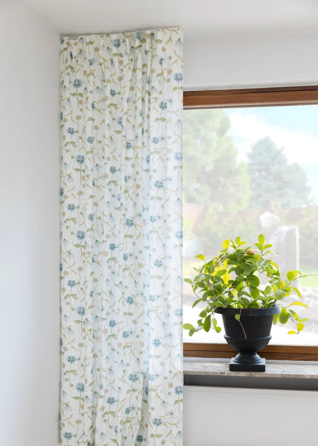 Cortinas - Cortina de algodón Sweetie (azul)