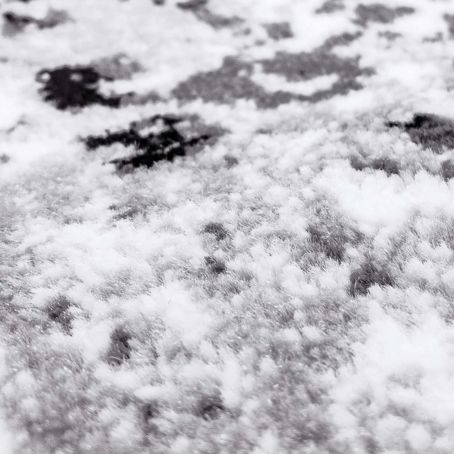 Alfombra Wilton - Ifrane (gris)