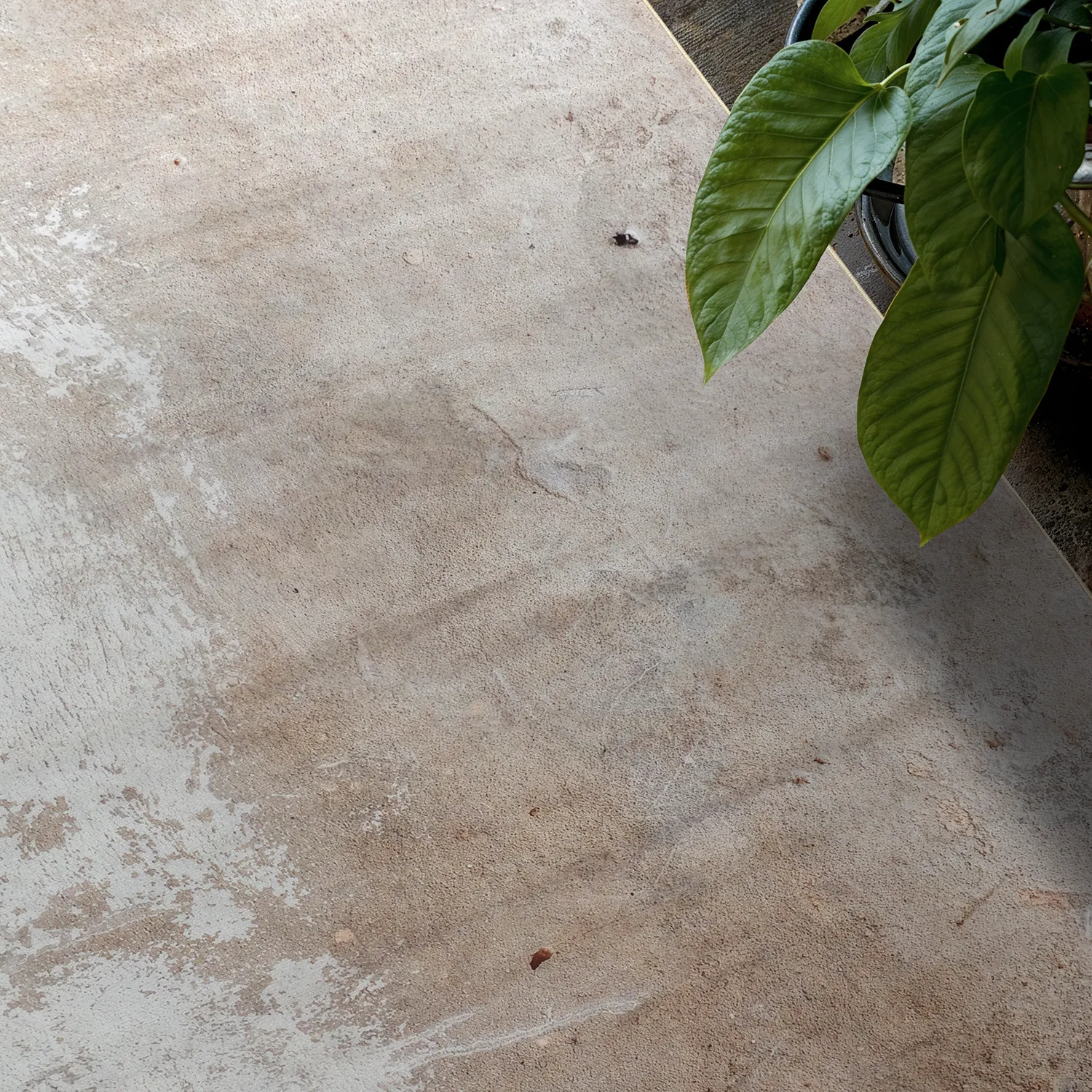 Alfombra Wilton - Bornos (gris/beige)