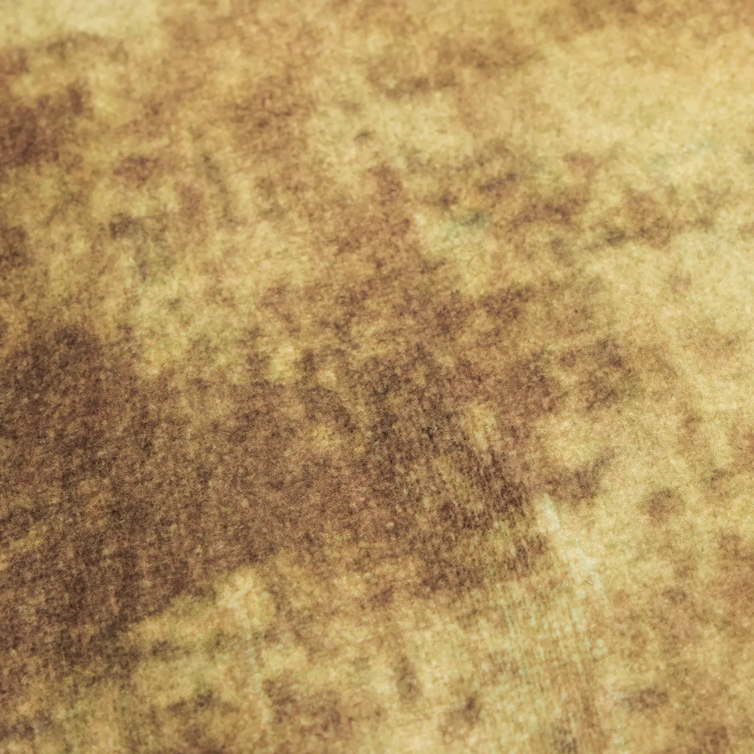 Alfombra Wilton - Lazio (beige/rosa)