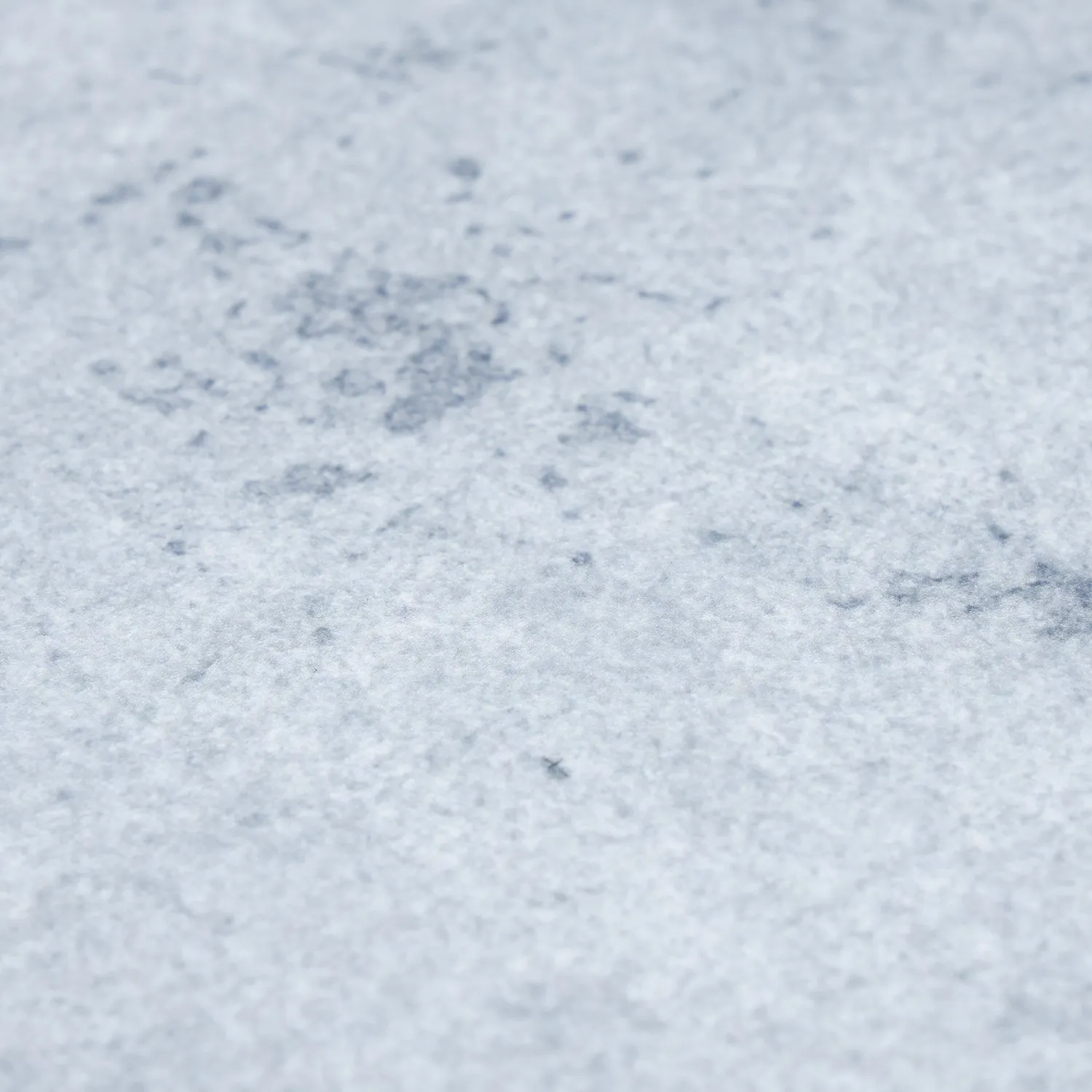 Alfombra Wilton - Lynton (gris claro)